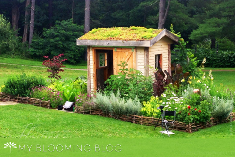 Martha Stewarts Garden in the Berkshires Floating Petals Blooming Blog