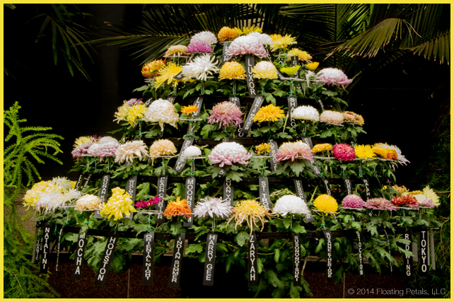 Longwood Gardens Chrysanthemum Festival