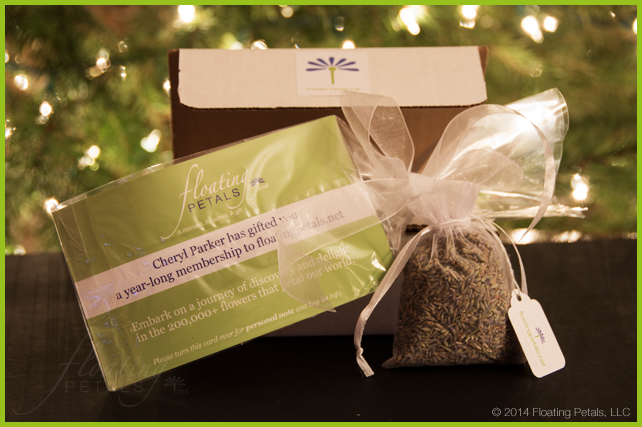 The Martha Stewart Garden