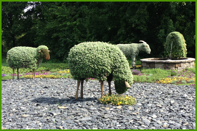Living Plant Sculpture - Montréal Botanical Garden - sheep graze in the field