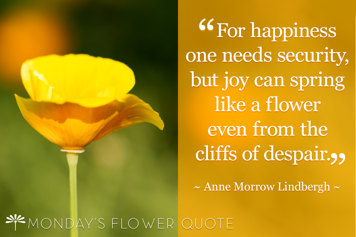 For Happiness One Needs Security | Monday's Flower Quote