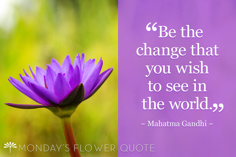 Be the Change You Wish to See | Monday's Flower Quote