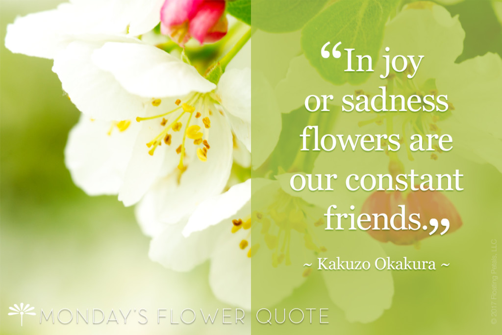 In Joy Or Sadness Monday's Flower Quote Floating Petals