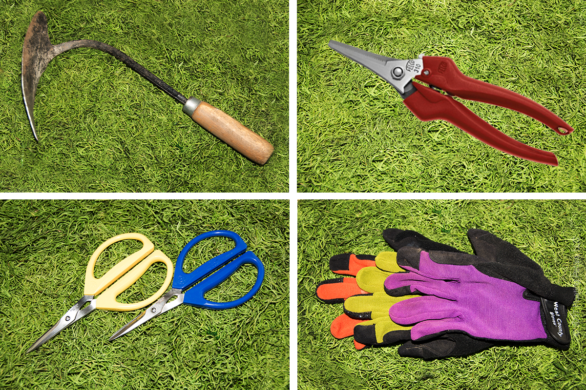 A Few of My Favorite Gardening Tools