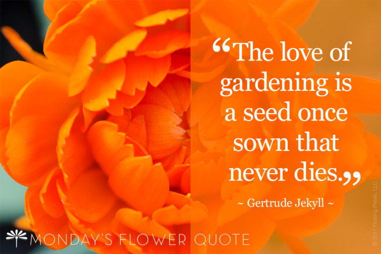 Love of gardening is a seed once sown that never dies Floating Petals