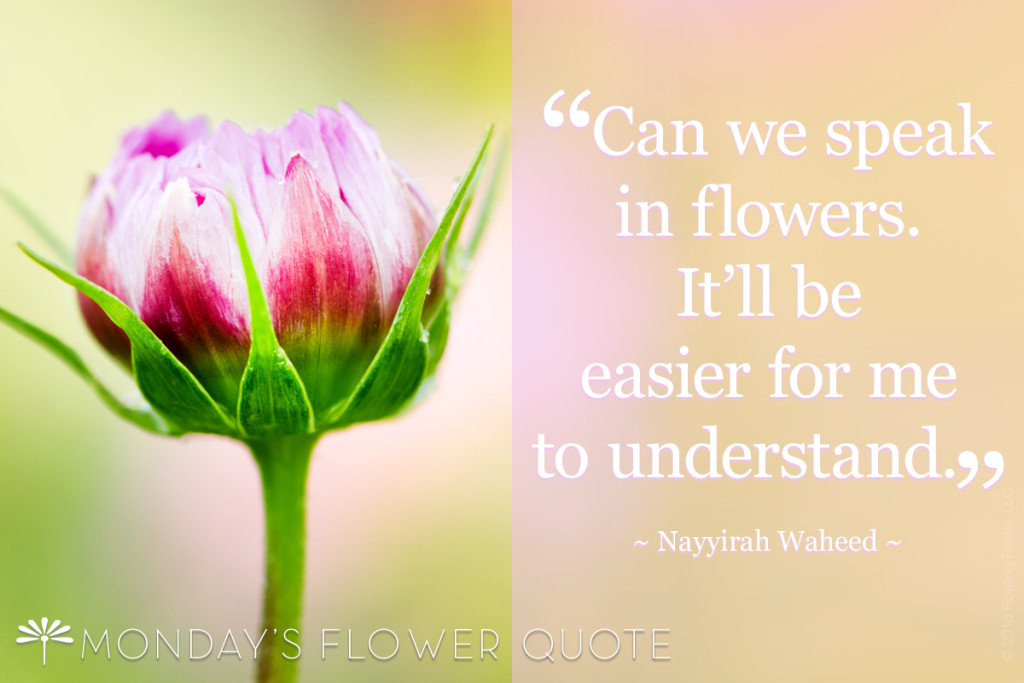 Can We Speak In Flowers Flower Quote Floating Petals