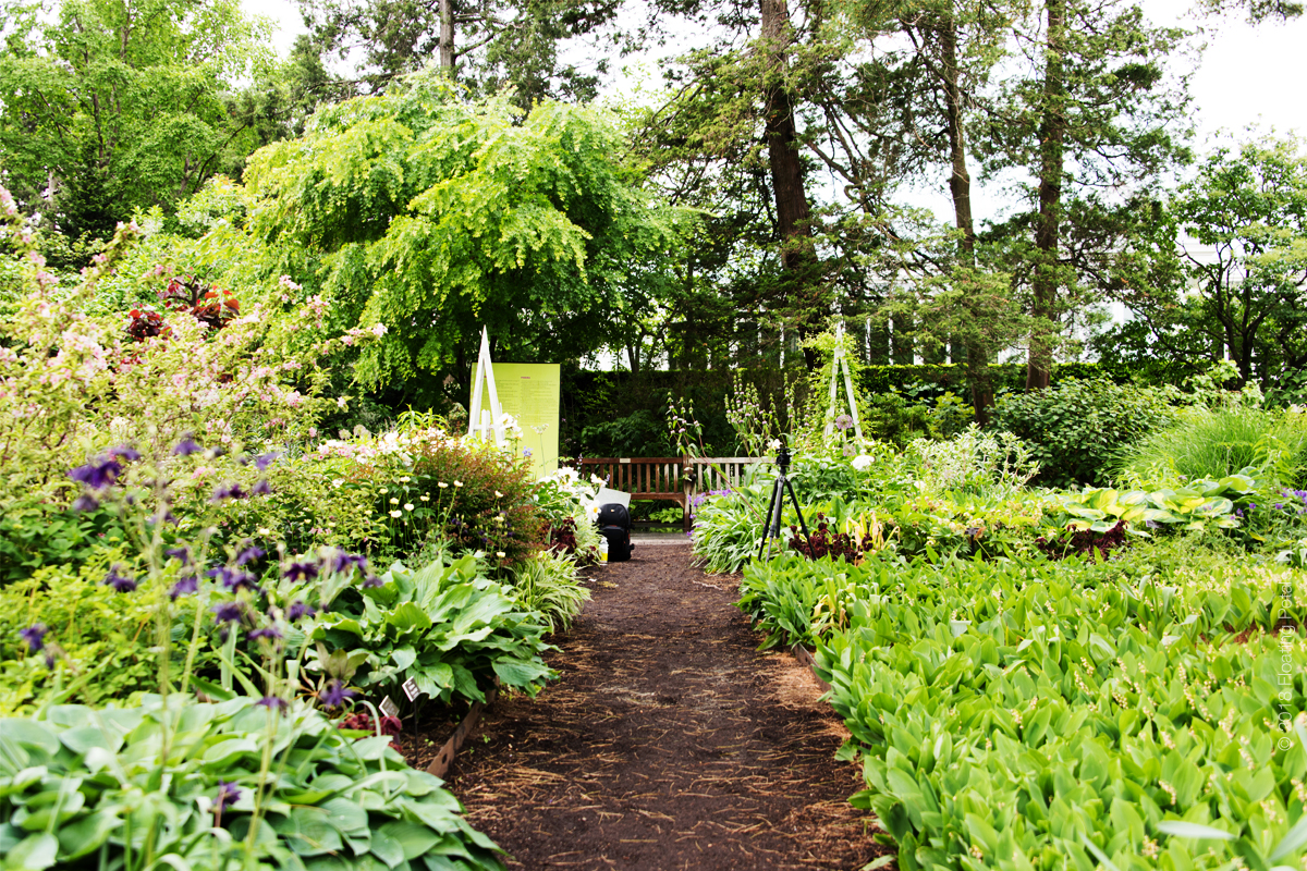 Botanical Gardens and Arboretums