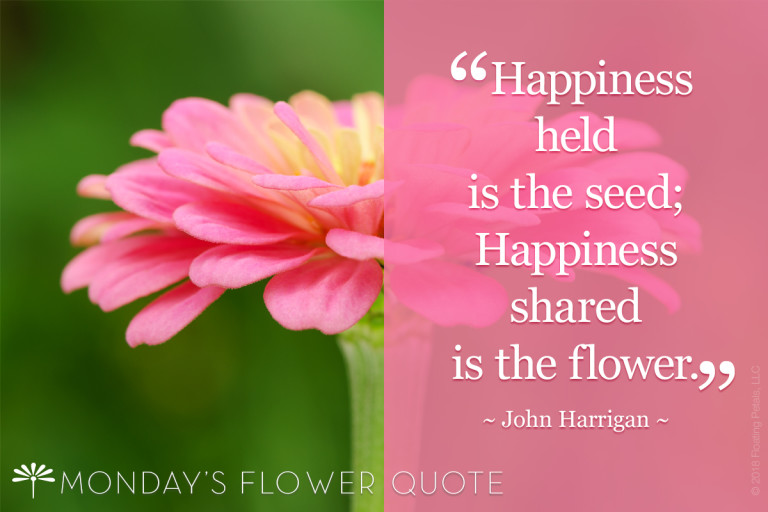 Happiness Held Is the Seed Monday's Flower Quote Floating Petals