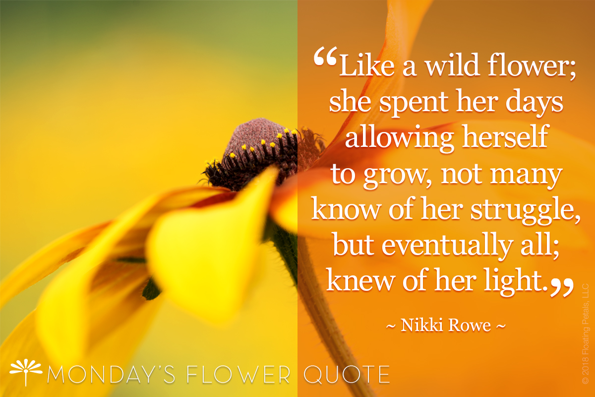 Flower Quote: Like A Wild Flower