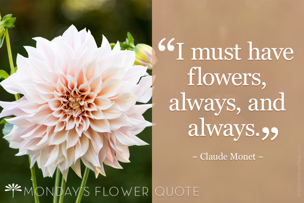 I Must Have Flowers Floating Petals Monday's Flower Quote