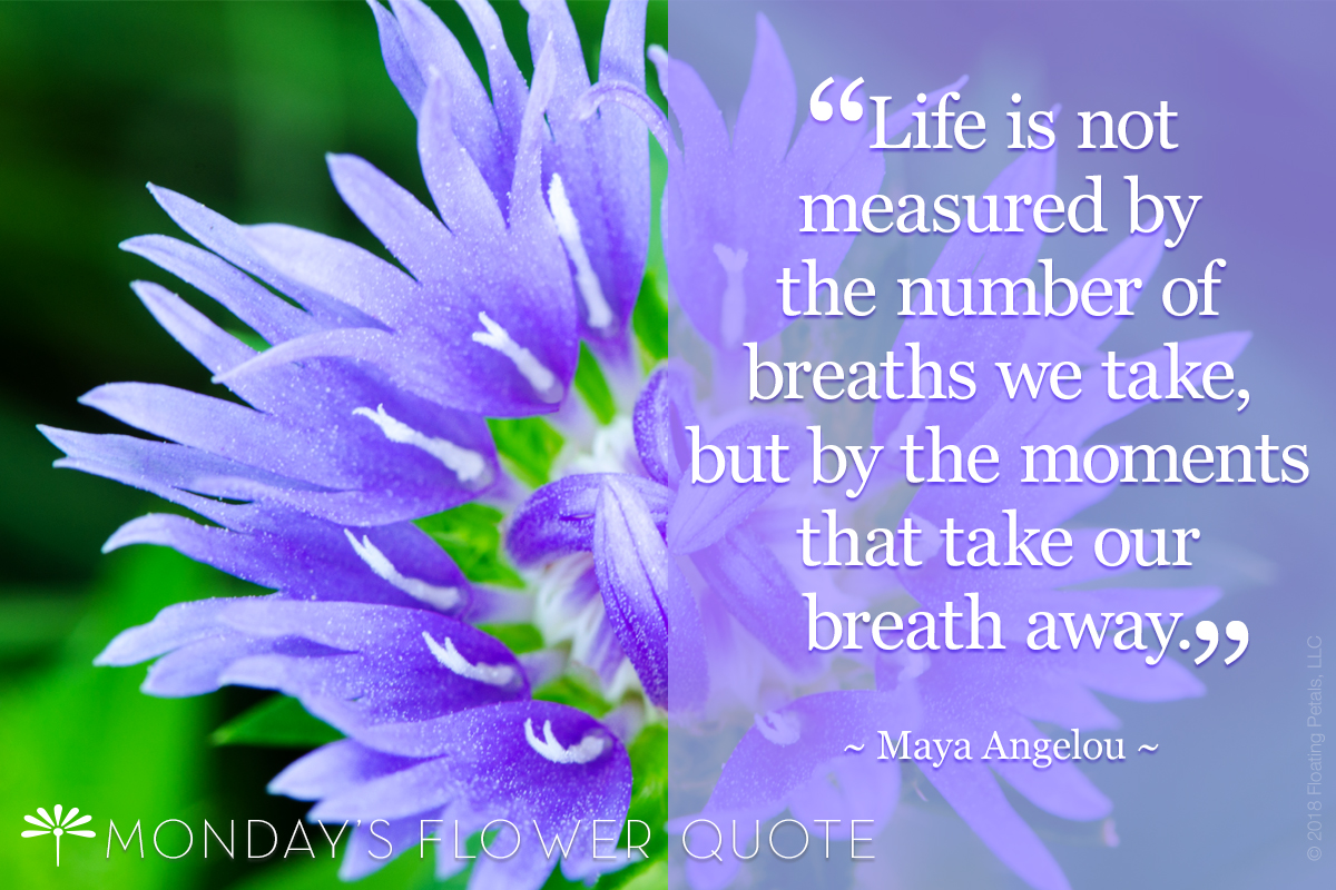 Life is not measured by