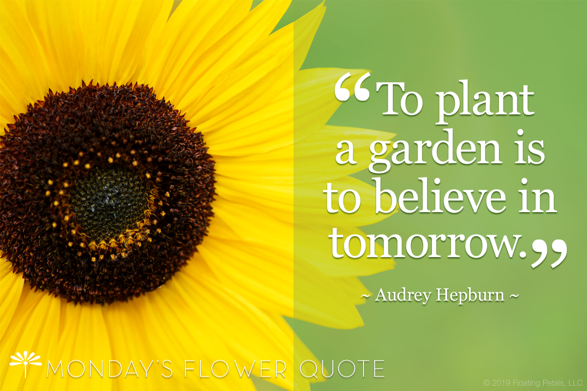 To Plant A Garden Is to Believe In Tomorrow. - Audrey Hepburn