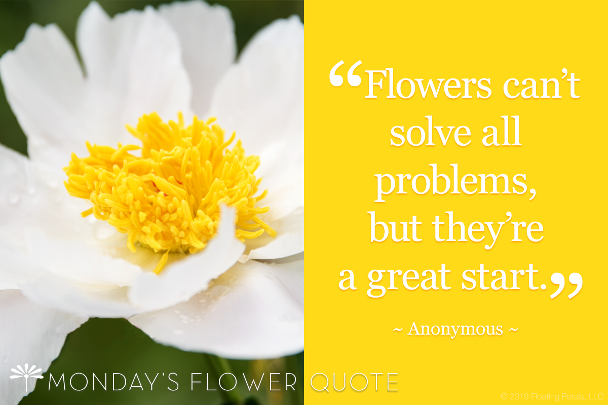 Flower Quote: Flowers can't solve all problems, but they're a great start.