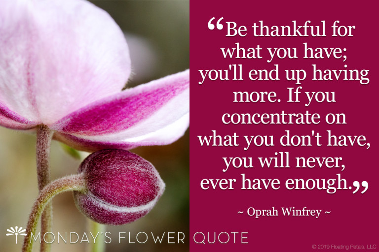 Be Thankful Floating Petals Monday's Flower Quote